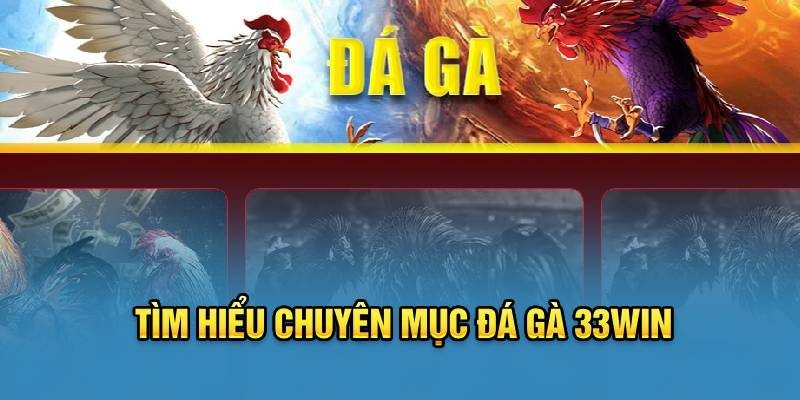 Khám phá tổng quát về trò chơi đá gà 33WIN truyền thống